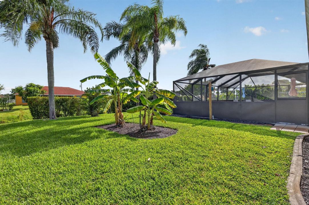 49-web-or-mls-5P1A9376