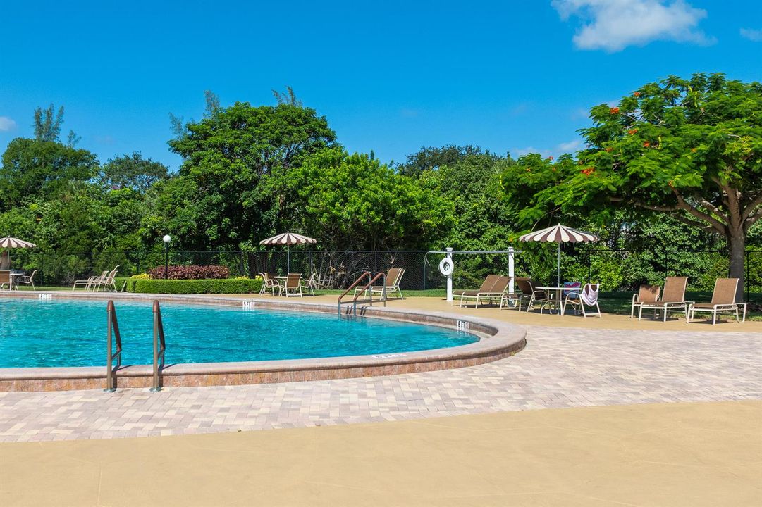 Camden Pool