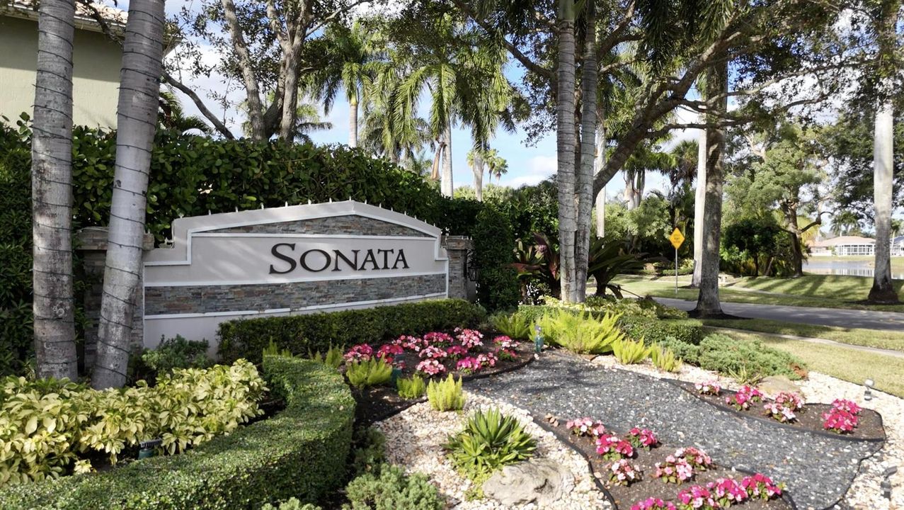 Mission Bay Sonata