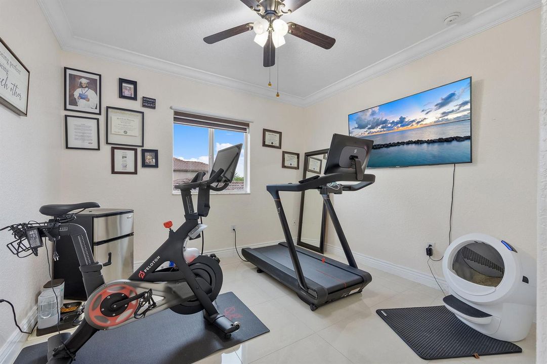 38-web-or-mls-577A4385