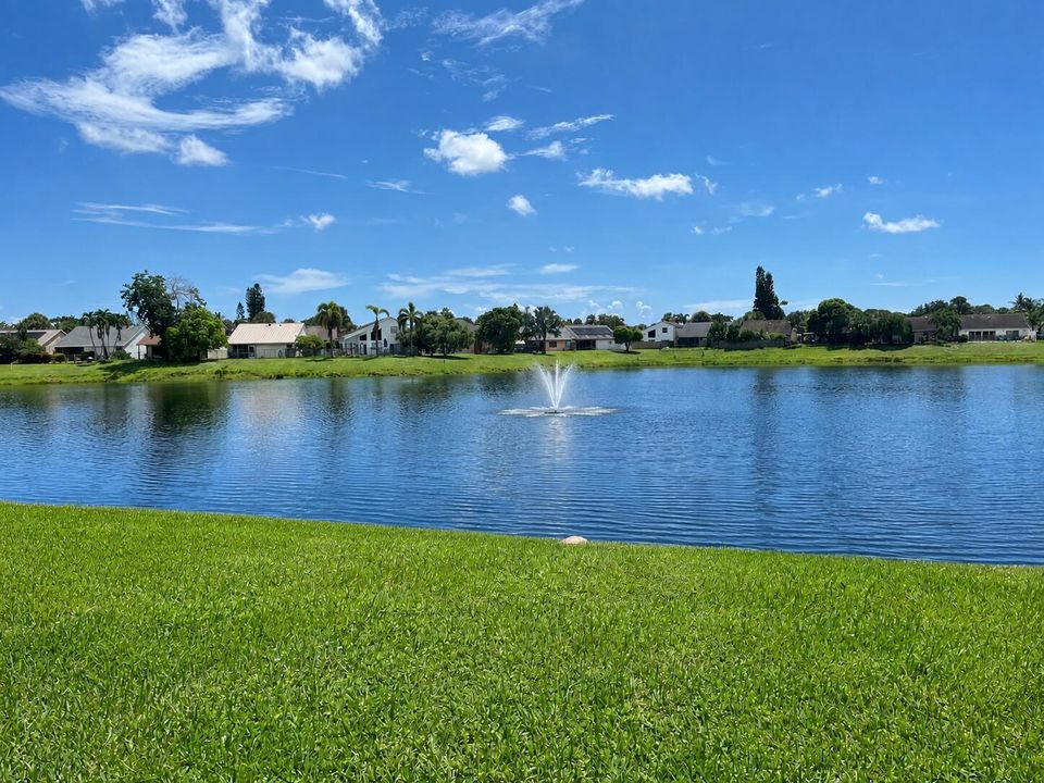 Lake view