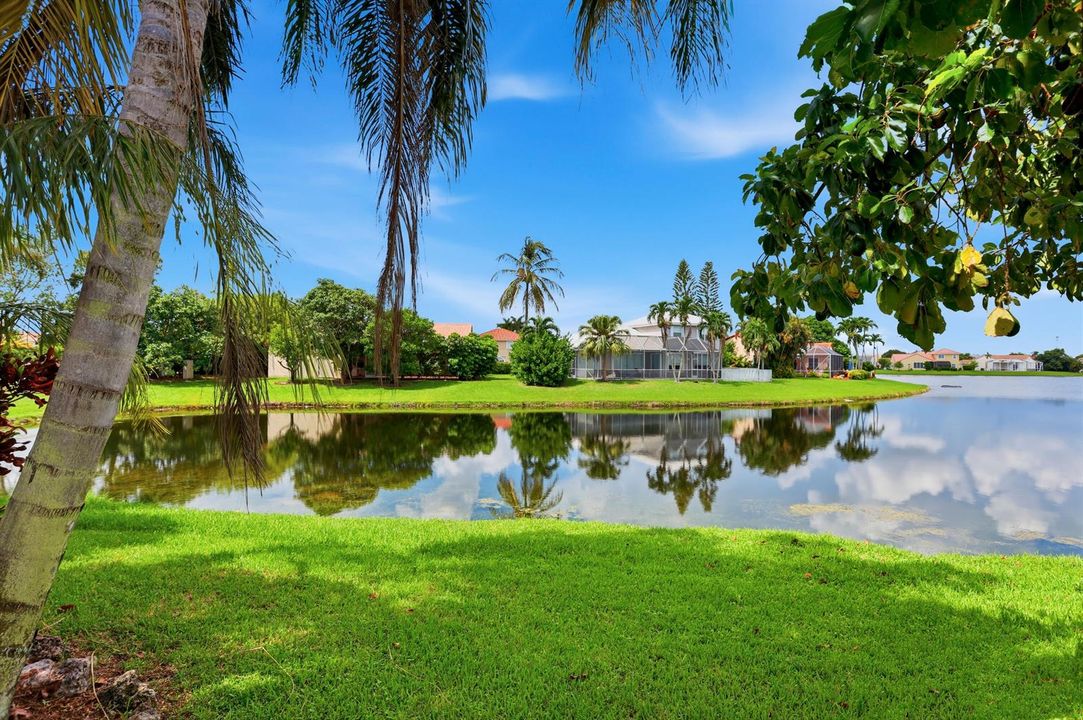 Peaceful Water View