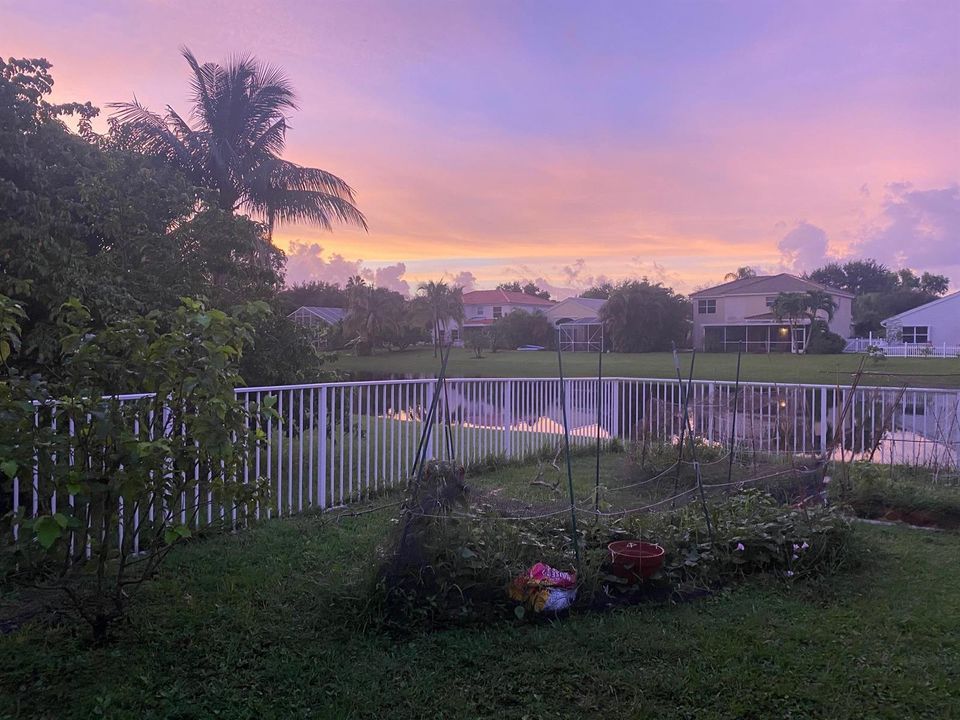 LAke view