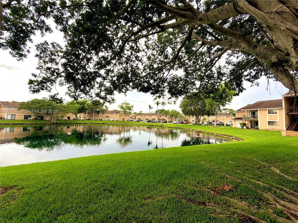 For Rent: $1,799 (1 beds, 1 baths, 558 Square Feet)