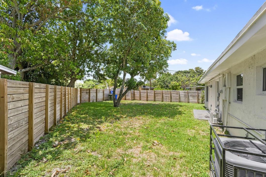 Backyard