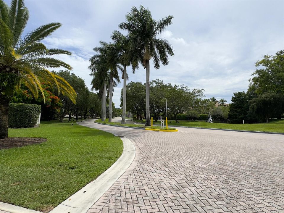 Tree Lined Community