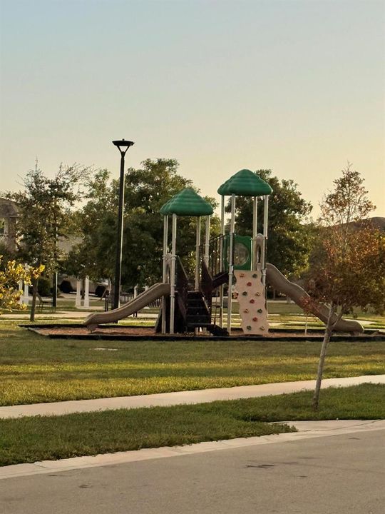 PARK