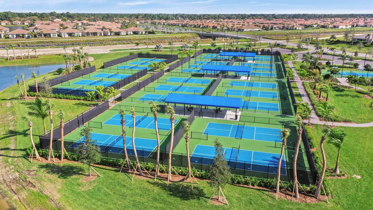 Pickleball