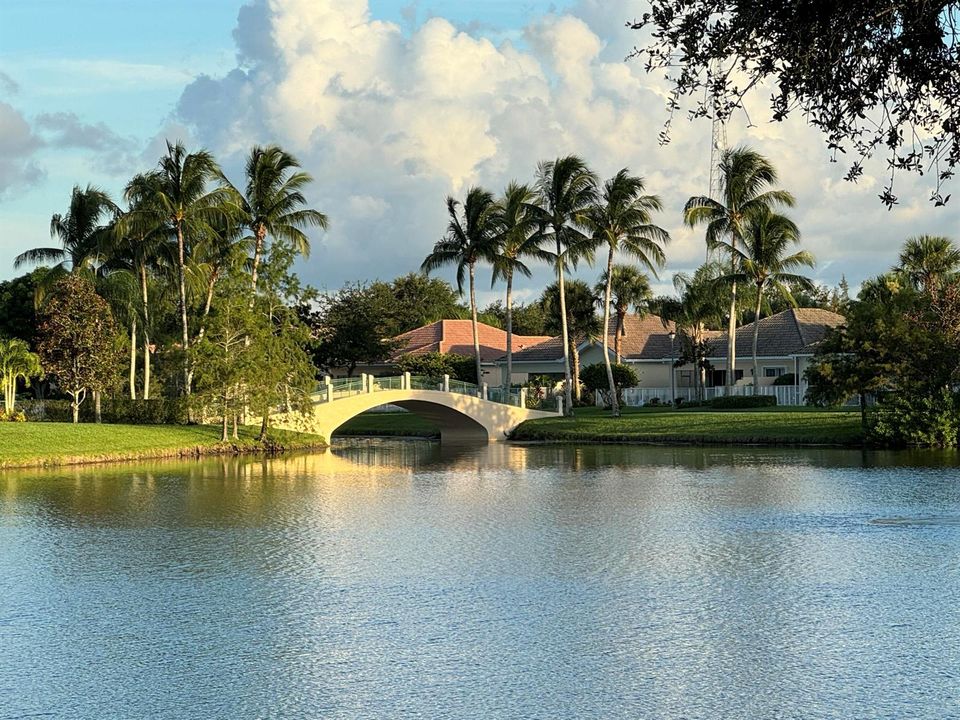 bridges
