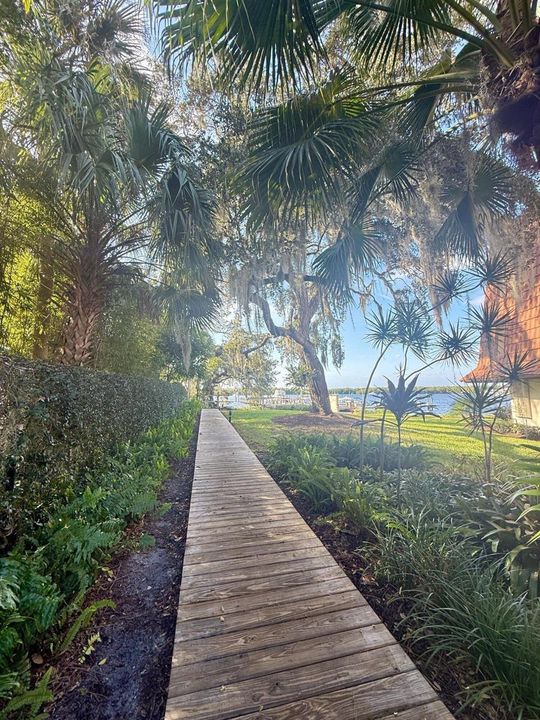 E303 boardwalk