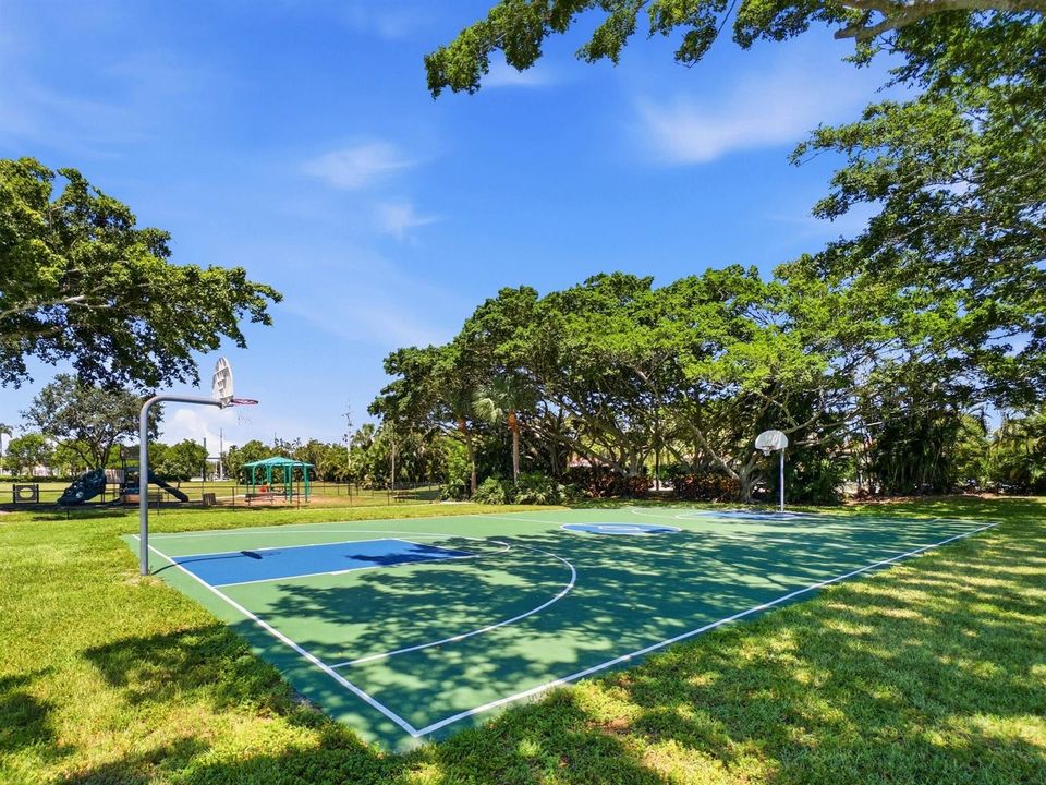 Basketball Court