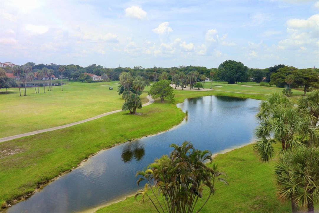 Condo View