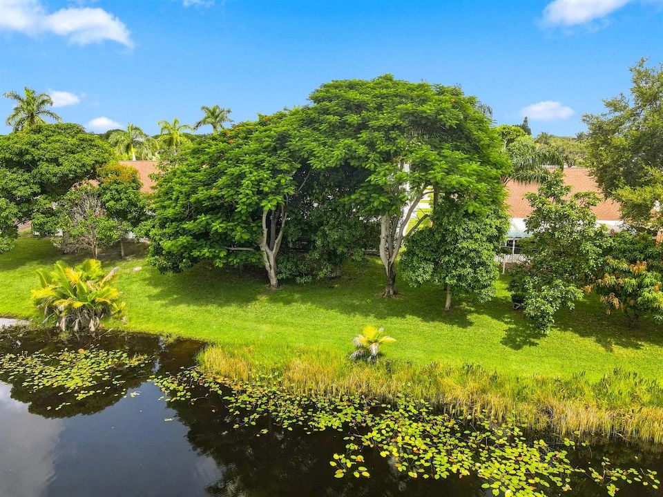 Lakeside Backyard