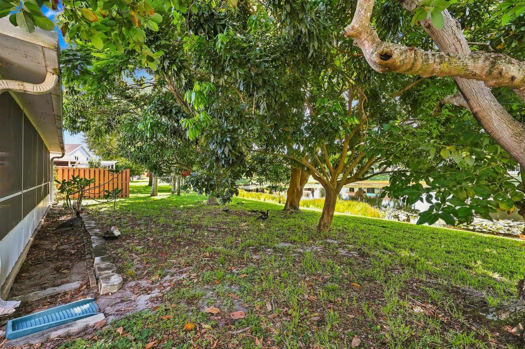 Lakeside Backyard
