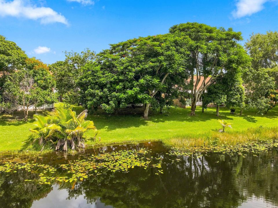 Lakeside Backyard