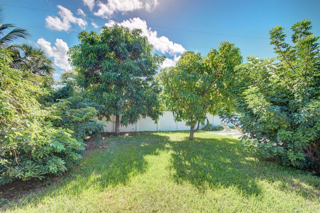 43_house (43)