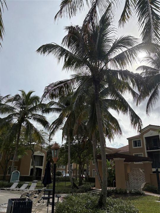 For Rent: $1,980 (2 beds, 2 baths, 981 Square Feet)