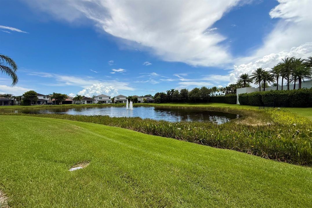 Lake view