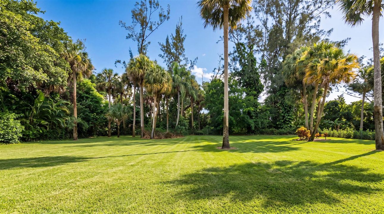 Backyard