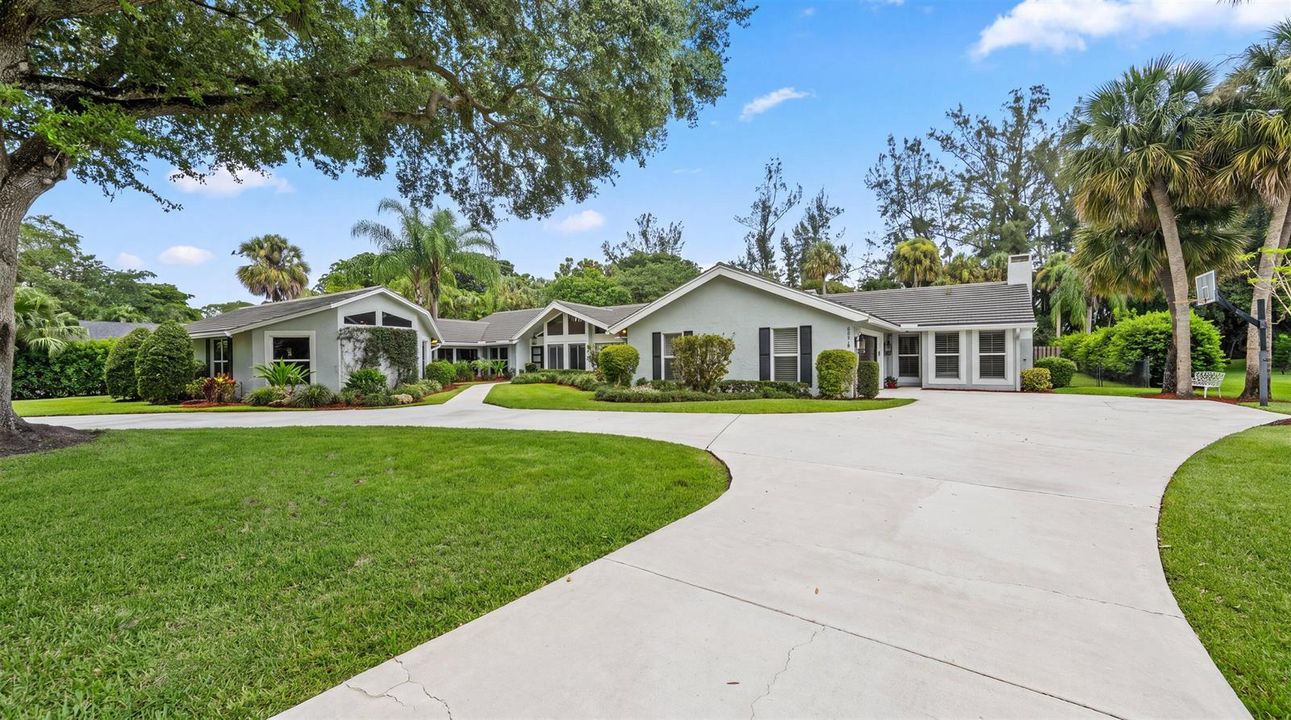 Extensive Driveway