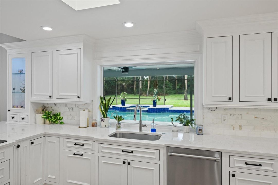 Wash DIshes W/ A View