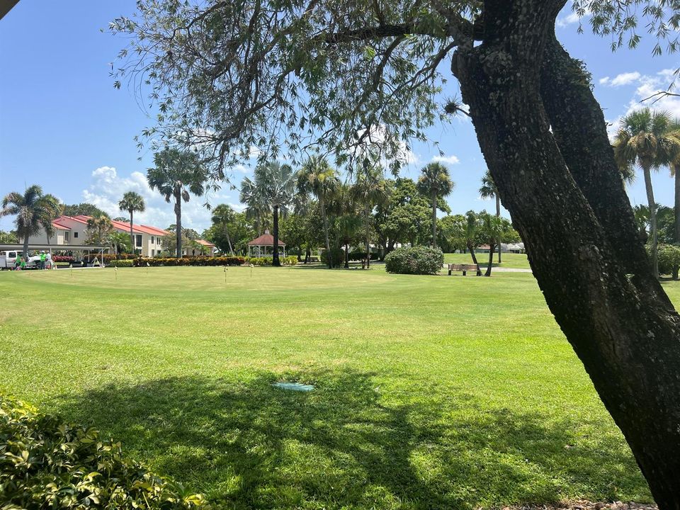 putting green