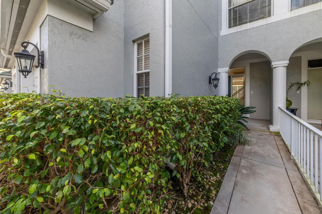Front Home