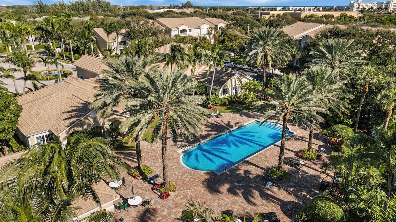 Aerial Of Pool