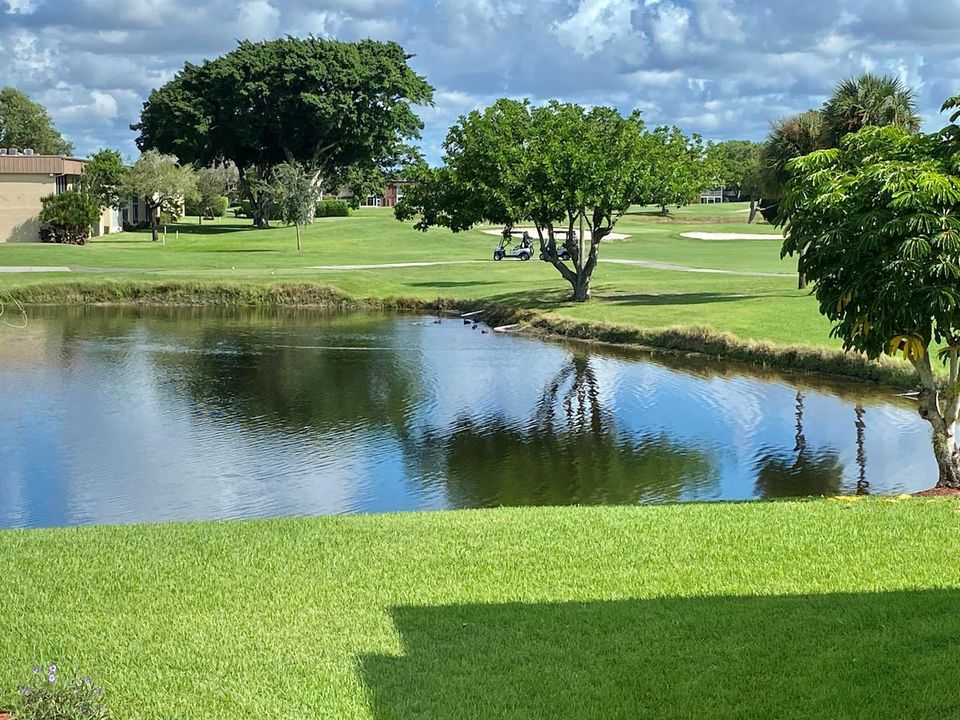 golf course