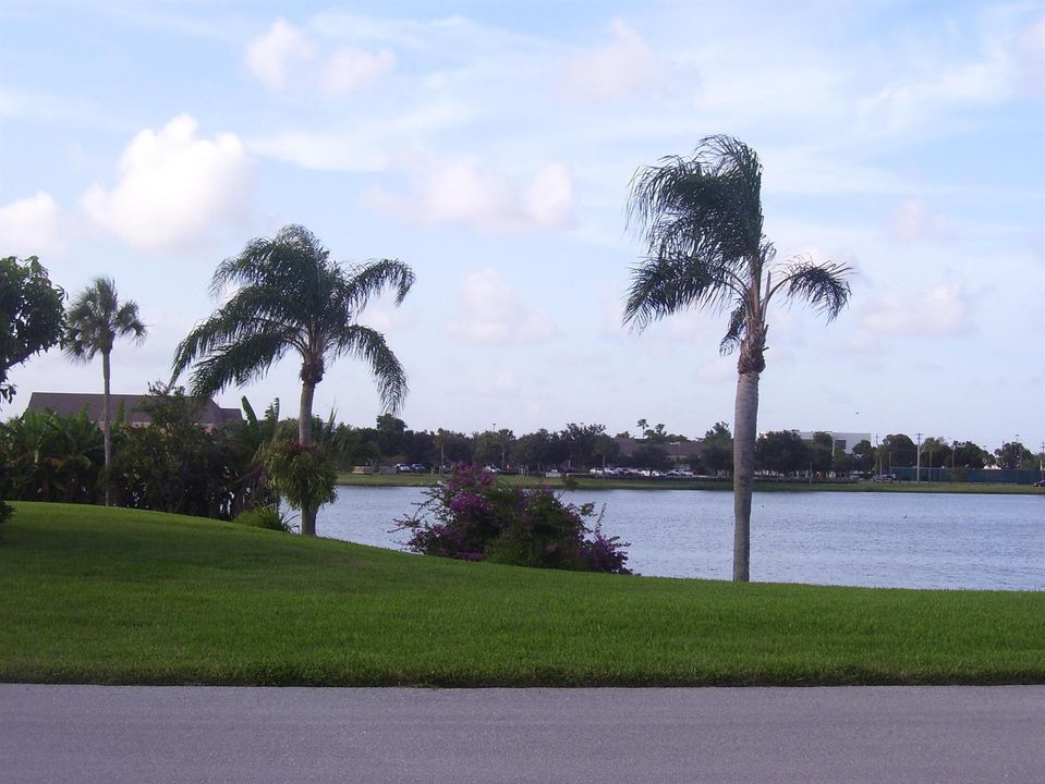 big lake 2
