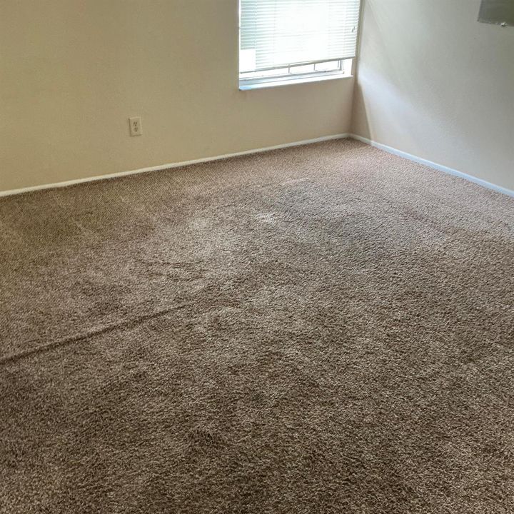 bedroom 2 carpeted