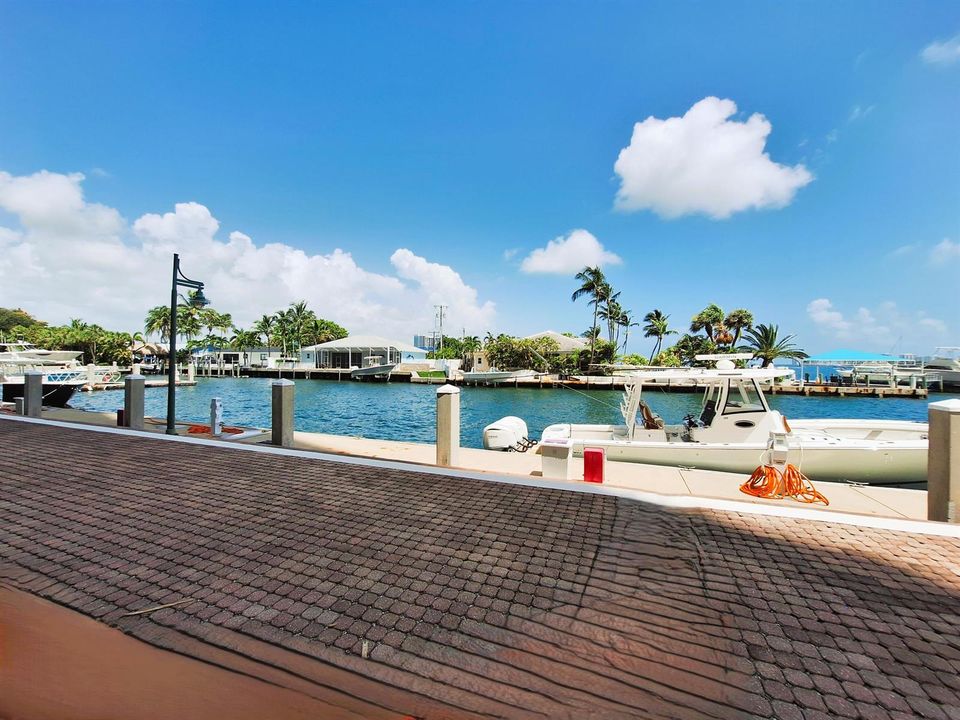 Deck & walkway 1