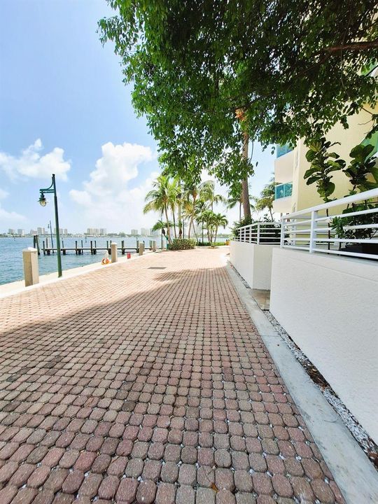 Deck & walkway 2