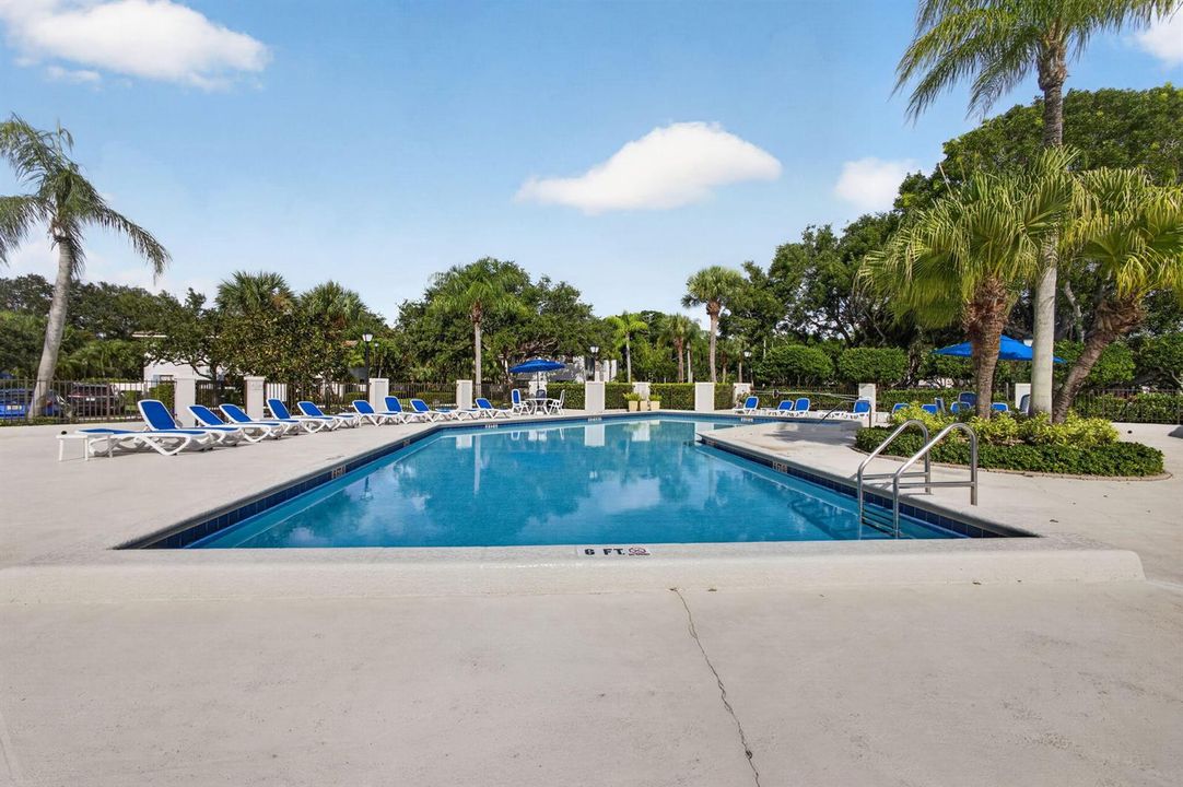 Huge pool!