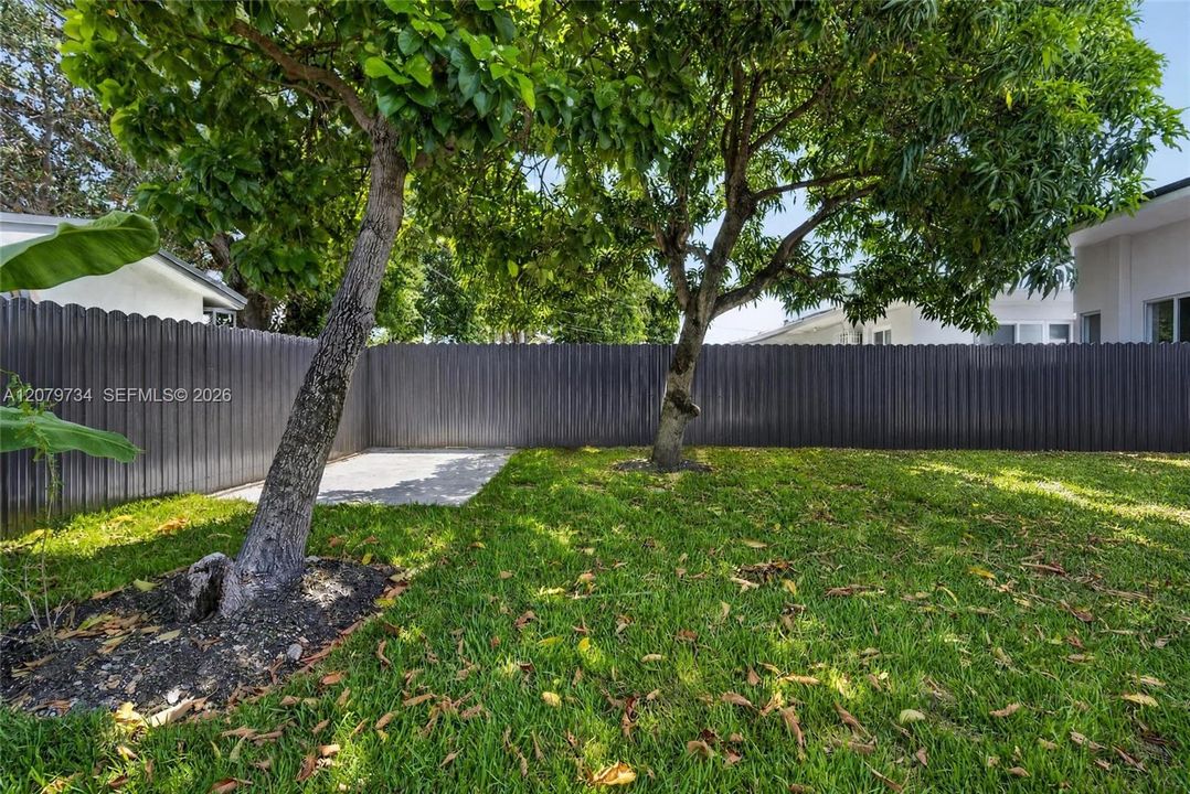 Spacious backyard