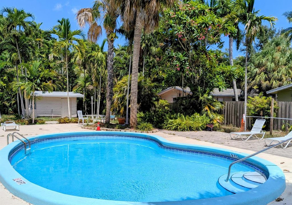 Community Pool