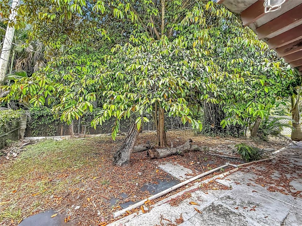 For Sale: $525,000 (3 beds, 2 baths, 1252 Square Feet)