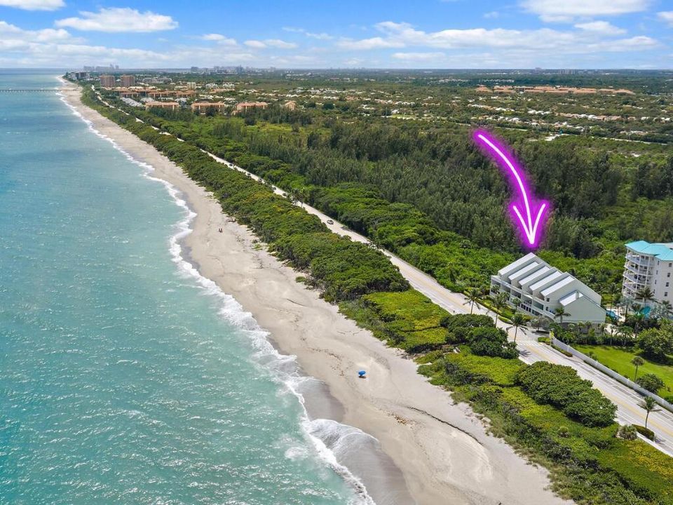 2050 S Hwy A1A 5