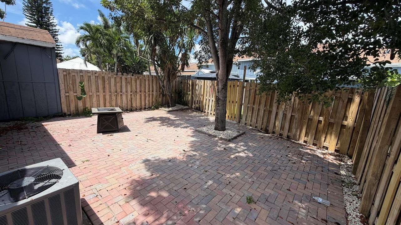 backyard 2