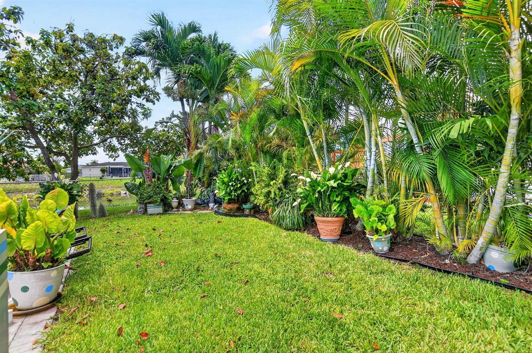 11078 back yard 2
