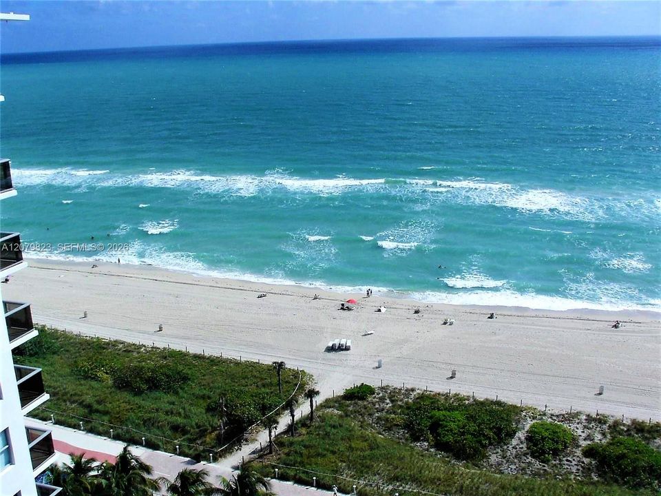 Ocean front building, beach to enjoy year round!