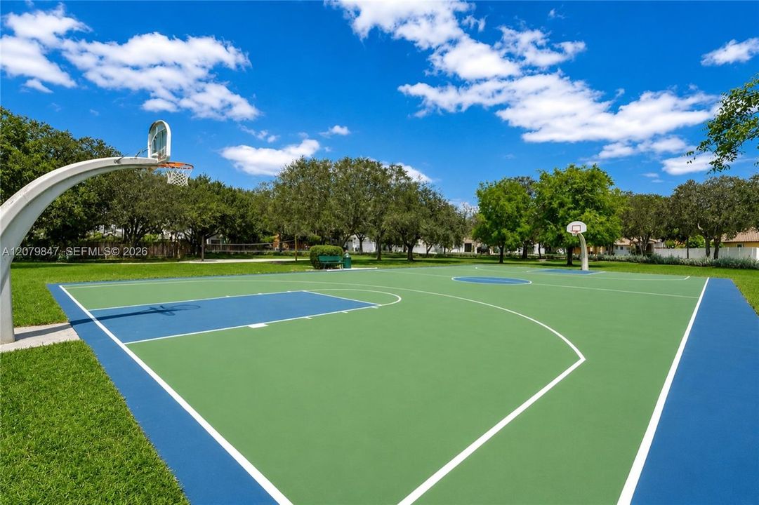 Basketball Court