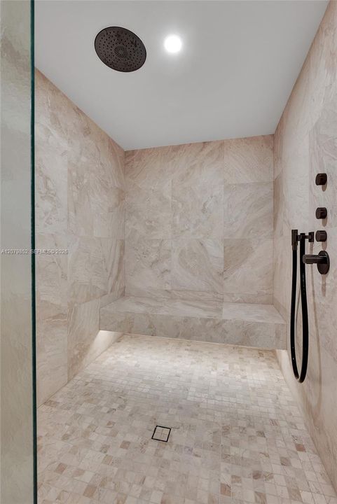 Rain shower with lymphatic system hose