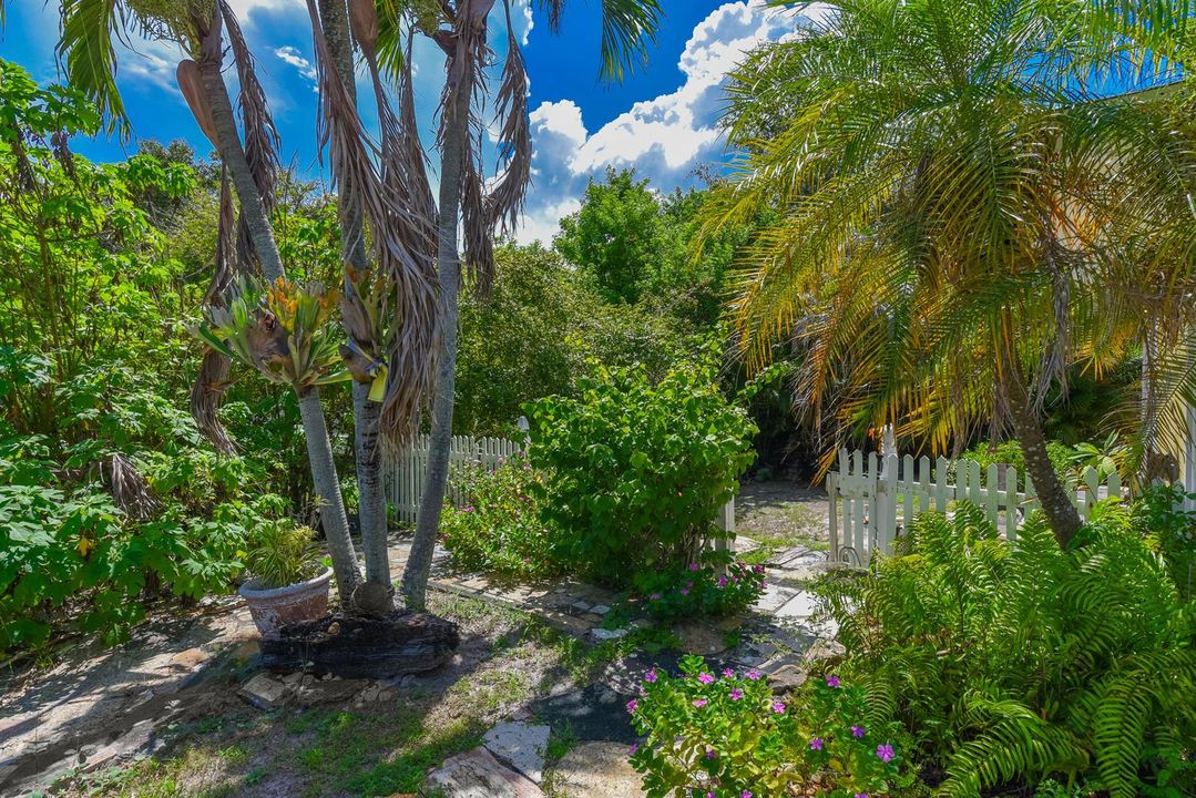 Side frontyard