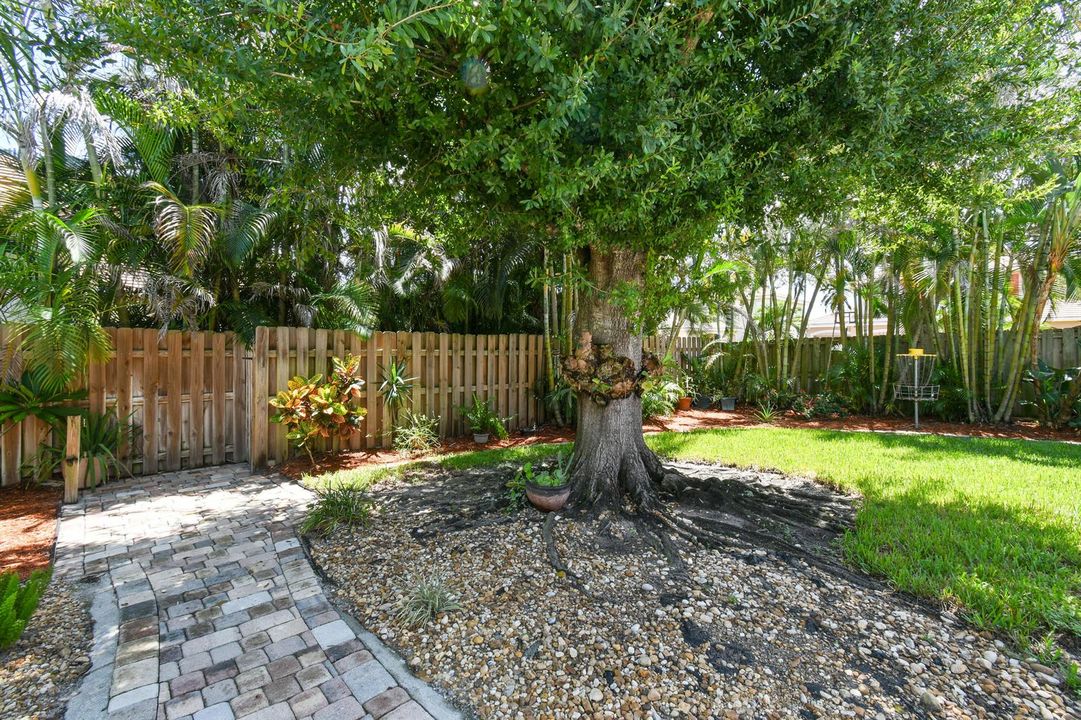 Gorgeous Backyard