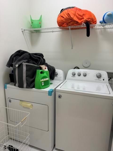 IMG_4244