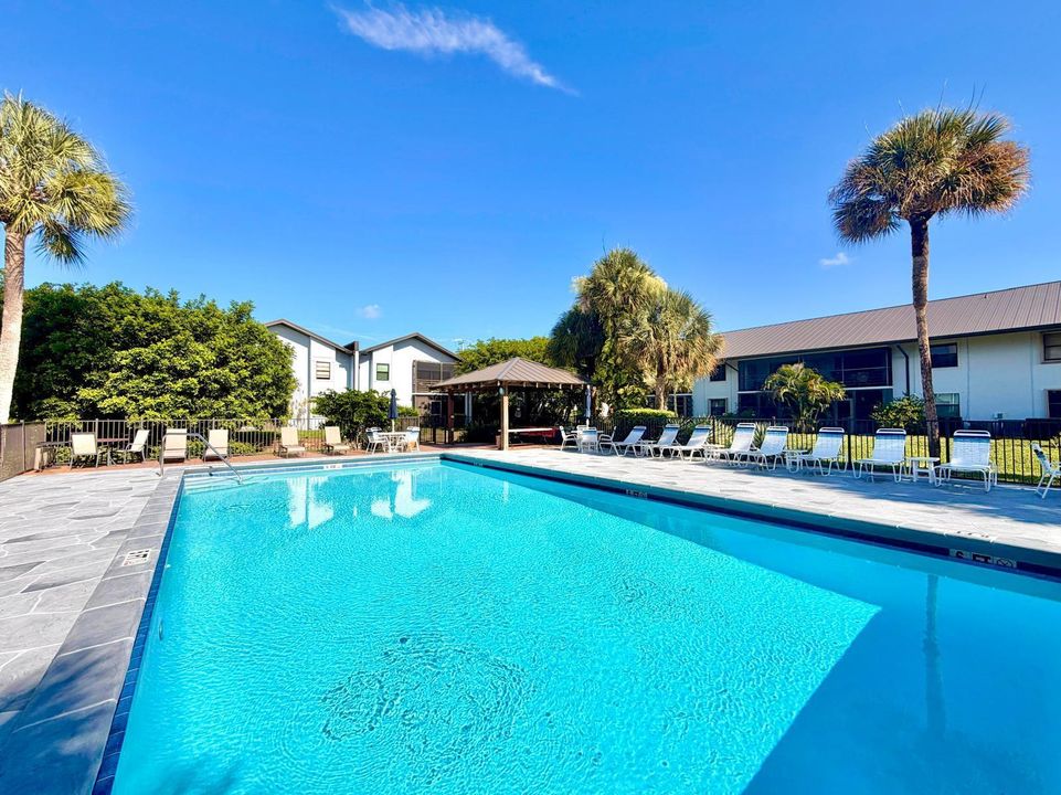 New pool