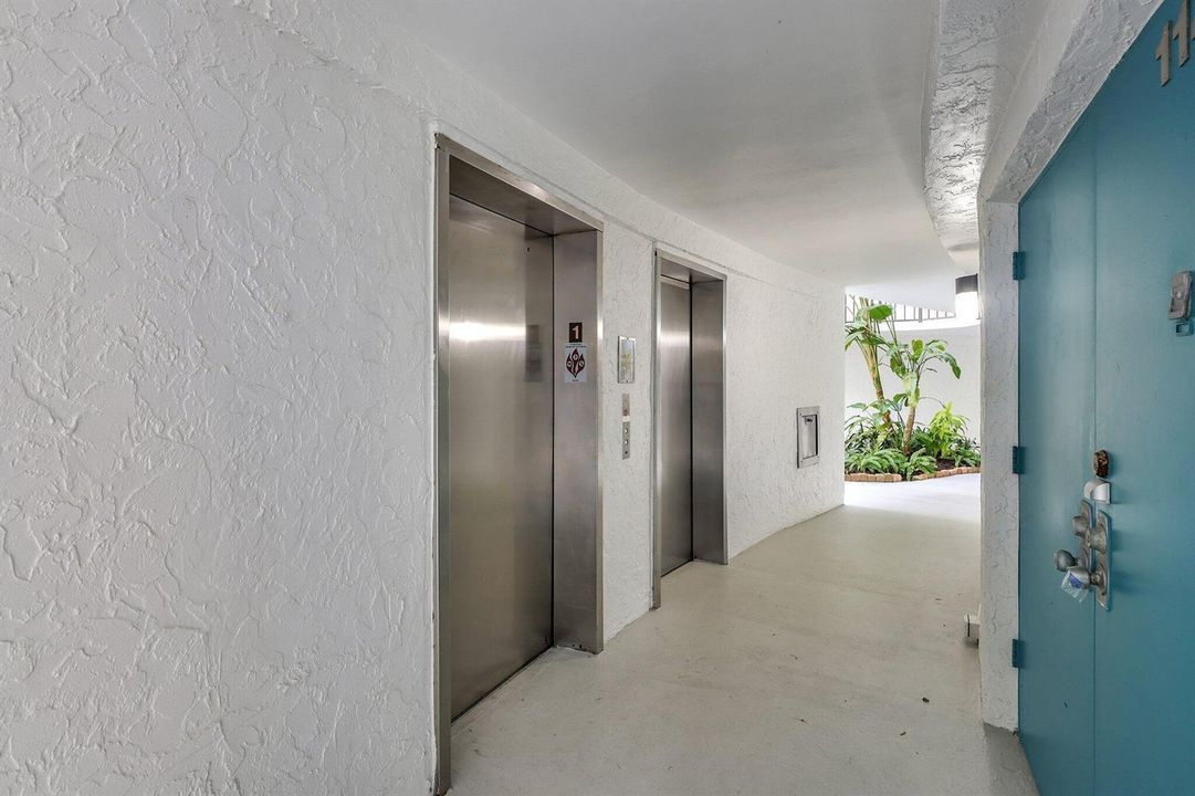 74-web-or-mls-5P1A6107