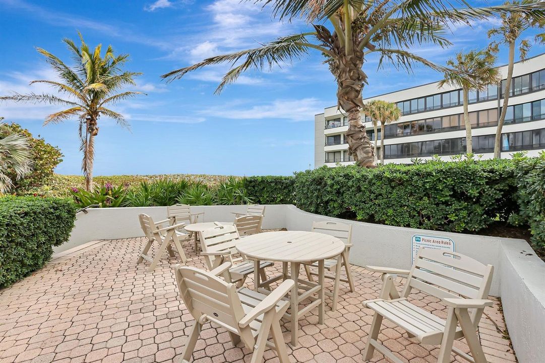 45-web-or-mls-5P1A5310