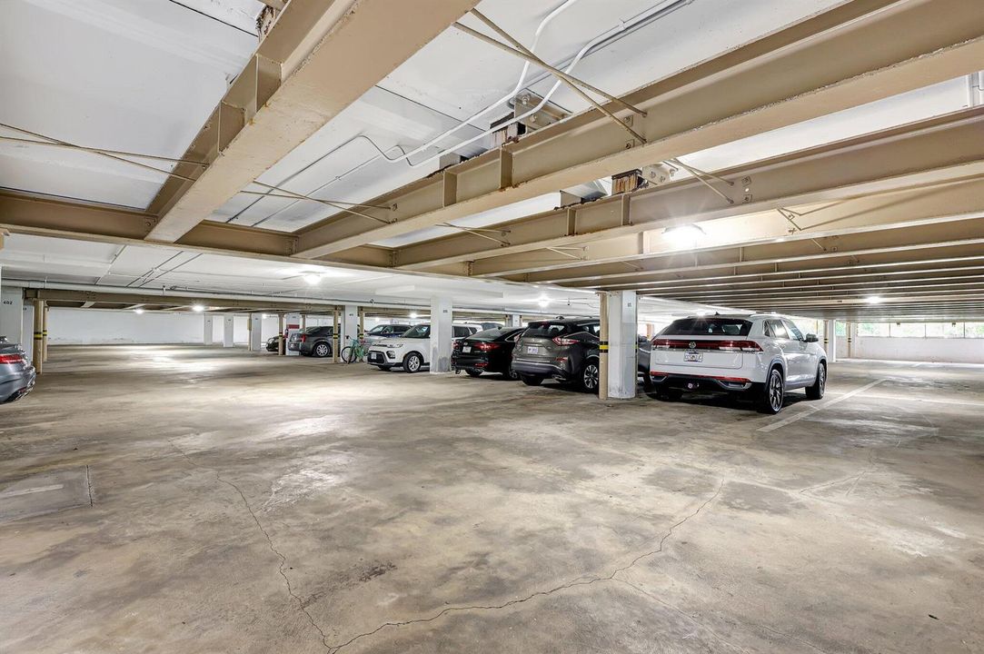 69-web-or-mls-5P1A5047